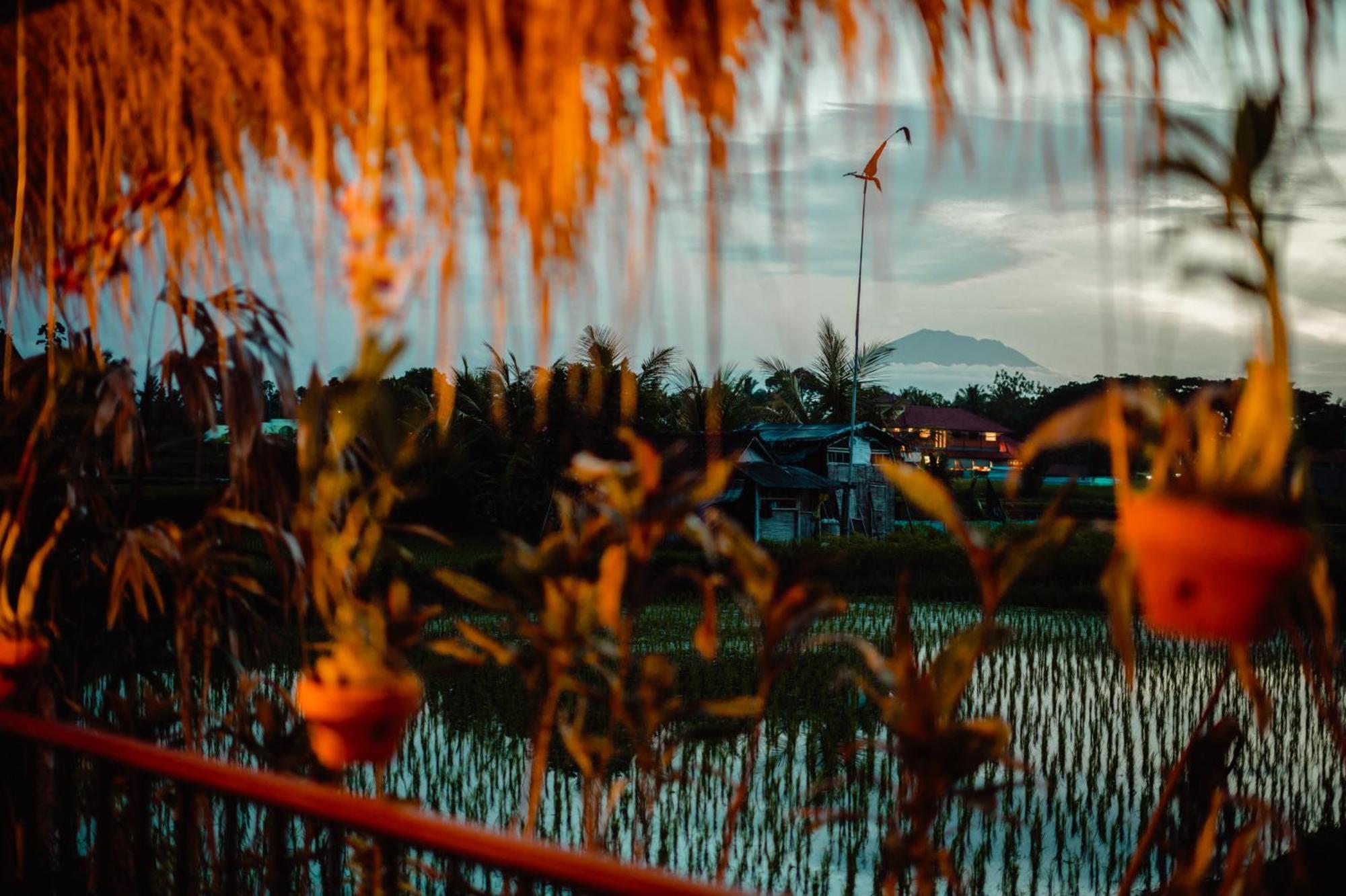 Nila Chandra * Ubud