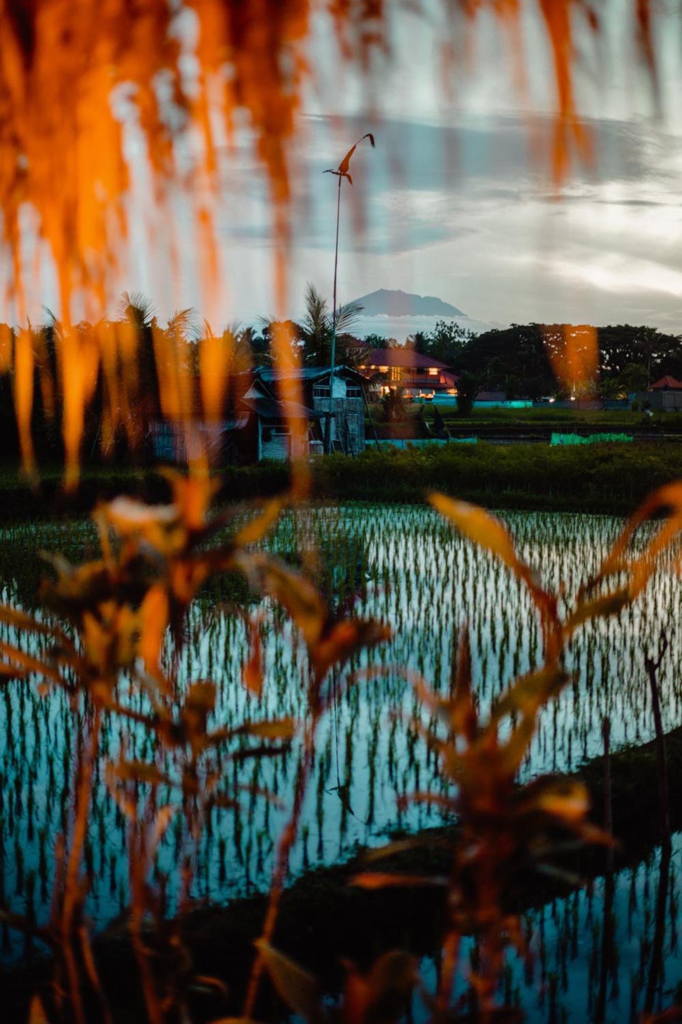 Nila Chandra Ubud